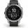 Smartwatch Garmin Fenix 7 Srebrno-szary